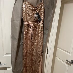 BCBG MAXAZARIA CHAMPAGNE SEQUINCED GOWN NEVER WORN